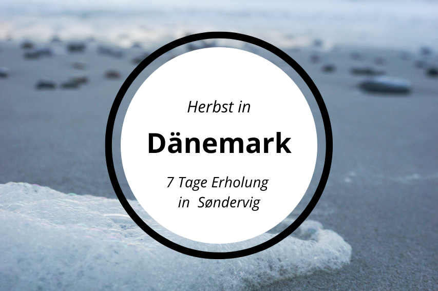 Read more about the article Erholsamer Urlaub in Dänemark (340KM)
