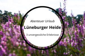 Read more about the article Abenteuer Urlaub in der Lüneburger Heide (65KM)